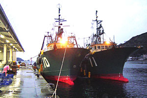 八幡浜：漁を行うトロール船